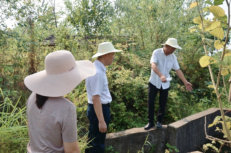 官网用1.jpg